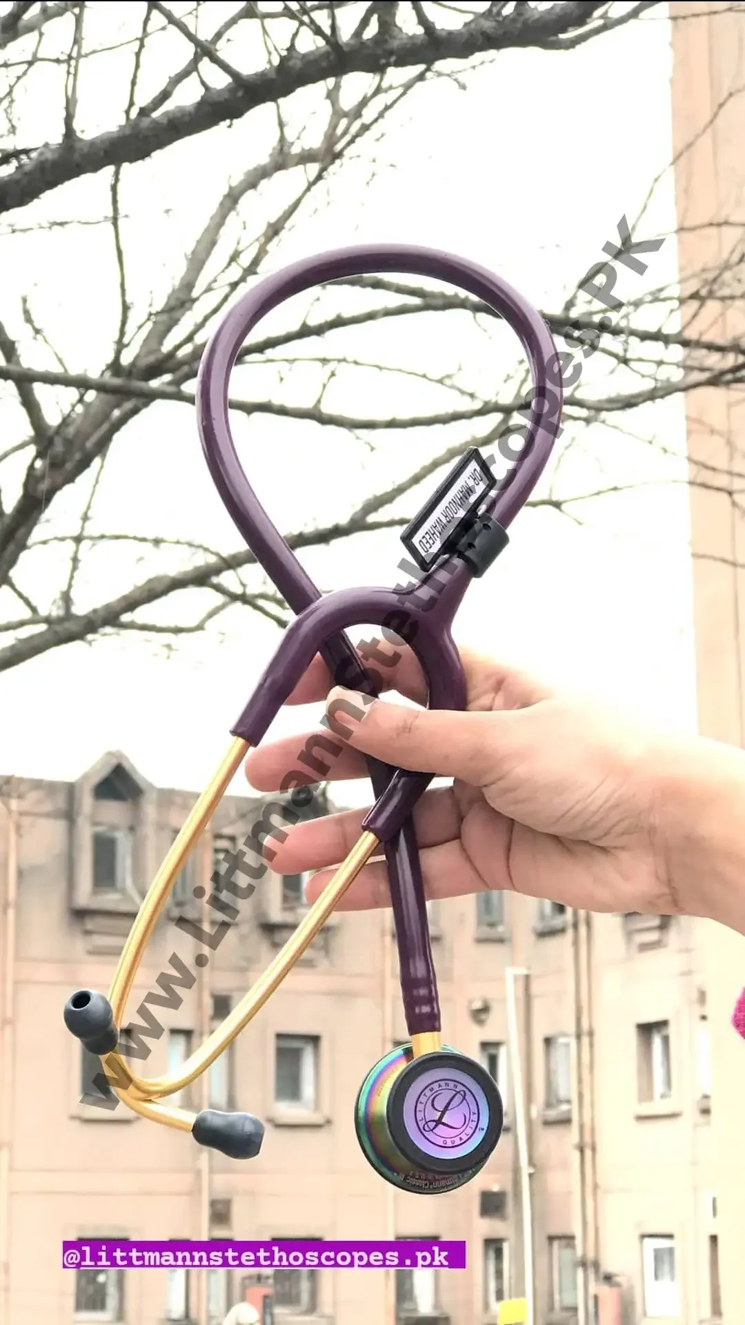 Littmann Review (225)